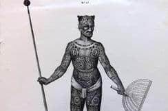 9th August 2022. Schinz Native Prints