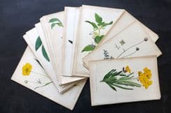 9th May 2024. Special Offer Bulk Lots