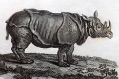 9th November 2025. Bruce Travel, Botanical & Natural History