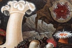 9th September 2022. Gosse Sea Anemones & Corals