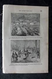 Artemas Ward 1883 Antique Print. Gathering & Drying Tea. China