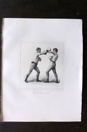Badminton Library 1889 Boxing Print. Left Arm Guard