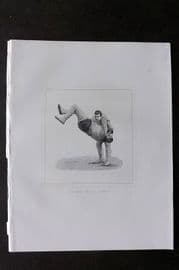 Badminton Library 1889 Wrestling Print. The Heave, Cornwall and Devon
