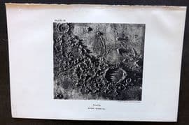 Ball C1900 Antique Astronomy Print. Plato. Celestial 09