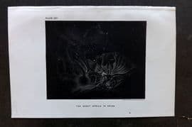 Ball C1900 Antique Astronomy Print. The Great Nebula in Orion 14