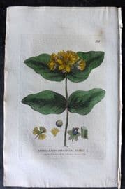 Baxter 1834 Hand Col Botanical Print. Tutsan 39