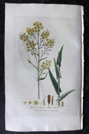 Baxter 1836 Hand Col Botanical Print. Dyers Wood 210