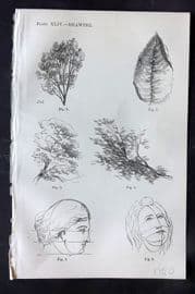 Beeton 1870 Antique Print. Drawing 44