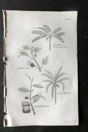 Blair C1865 Miniature Print. Cotton, Banana, Bread Fruit, Cocoa. Botanical