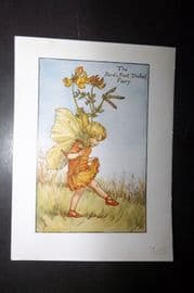 Cicely Mary Barker 1940's Flower-Fairy Print. Bird's Foot Trefoil Fairy