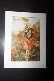 Cicely Mary Barker 1940's Flower Fairy Print. Black Bryony Fairy