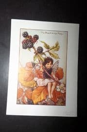Cicely Mary Barker 1940's Flower Fairy Print. Blackberry Fairy
