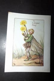Cicely Mary Barker 1940's Flower-Fairy Print. Colt's Foot Fairy