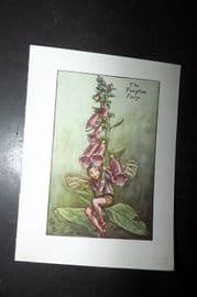 Cicely Mary Barker 1940's Flower-Fairy Print. Foxglove Fairy