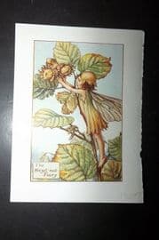Cicely Mary Barker 1940's Flower Fairy Print. Hazel Nut Fairy