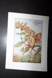 Cicely Mary Barker 1940's Flower-Fairy Print. Honeysuckle Fairy