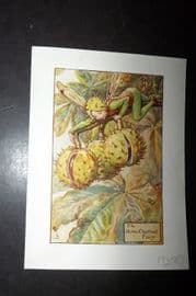 Cicely Mary Barker 1940's Flower Fairy Print. Horse Chestnut Fairy