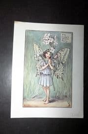 Cicely Mary Barker 1940's Flower-Fairy Print. Lady's Smock Fairy