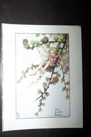 Cicely Mary Barker 1940's Flower-Fairy Print. Larch Fairy