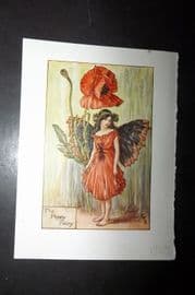 Cicely Mary Barker 1940's Flower-Fairy Print. Poppy Fairy