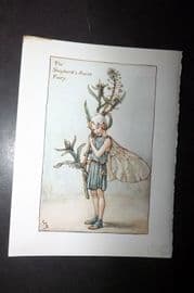 Cicely Mary Barker 1940's Flower-Fairy Print. Shepherd's Purse Fairy