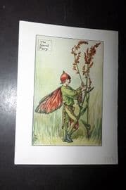 Cicely Mary Barker 1940's Flower-Fairy Print. Sorrel Fairy