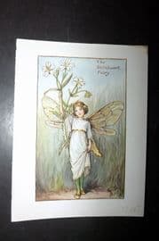 Cicely Mary Barker 1940's Flower-Fairy Print. Stitchwort Fairy