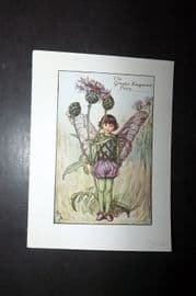 Cicely Mary Barker 1940's Flower-Fairy Print. The Greater Knapweed Fairy