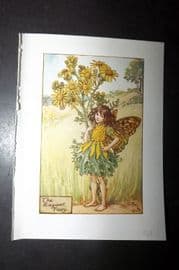Cicely Mary Barker 1940's Flower-Fairy Print. The Ragwort Fairy