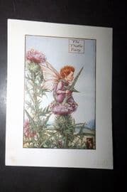 Cicely Mary Barker 1940's Flower-Fairy Print. Thistle Fairy