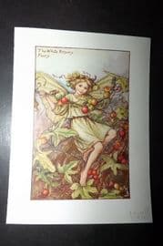Cicely Mary Barker 1940's Flower Fairy Print. White Bryony Fairy