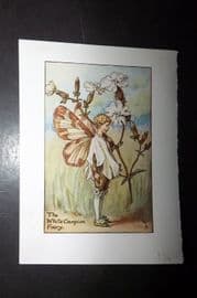 Cicely Mary Barker 1940's Flower-Fairy Print. White Campion Fairy
