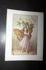 Cicely Mary Barker 1940's Flower-Fairy Print. Wild Flower Fairy