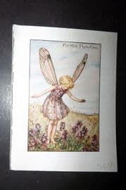 Cicely Mary Barker 1940's Flower-Fairy Print. Wild Thyme Fairy