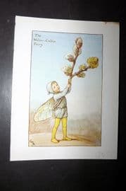 Cicely Mary Barker 1940's Flower-Fairy Print. Willow-Catkin Fairy