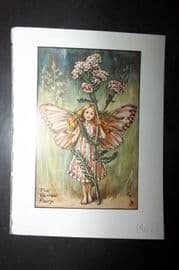 Cicely Mary Barker 1940's Flower-Fairy Print. Yarrow Fairy
