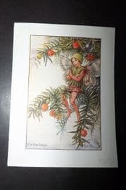 Cicely Mary Barker 1940's Flower Fairy Print. Yew Fairy