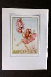 Cicely Mary Barker C1930 Vintage Flower Fairy Print. Almond Blossom