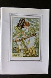 Cicely Mary Barker C1930 Vintage Flower Fairy Print. Ash Tree