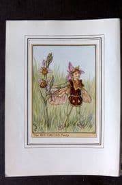 Cicely Mary Barker C1930 Vintage Flower Fairy Print. Bee Orchis Fairy