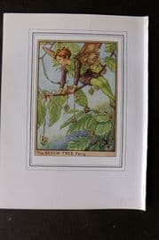 Cicely Mary Barker C1930 Vintage Flower Fairy Print. Beech Tree
