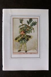 Cicely Mary Barker C1930 Vintage Flower Fairy Print. Box Tree