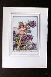 Cicely Mary Barker C1930 Vintage Flower Fairy Print. Canterbury Bell