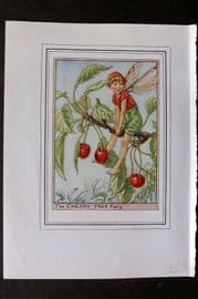 Cicely Mary Barker C1930 Vintage Flower Fairy Print. Cherry Tree