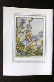 Cicely Mary Barker C1930 Vintage Flower Fairy Print. Chicory Fairy