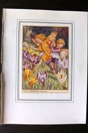 Cicely Mary Barker C1930 Vintage Flower Fairy Print. Crocus
