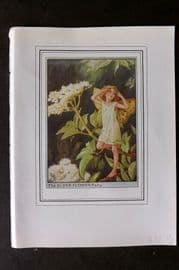 Cicely Mary Barker C1930 Vintage Flower Fairy Print. Elder Flower
