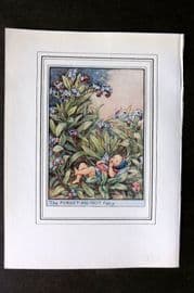 Cicely Mary Barker C1930 Vintage Flower Fairy Print. Forget-Me-Not