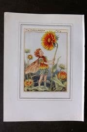 Cicely Mary Barker C1930 Vintage Flower Fairy Print. Gaillardia