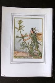 Cicely Mary Barker C1930 Vintage Flower Fairy Print. Goose Grass Fairy